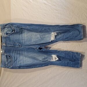 Torrid Feel The Fit Jeans SZ 22S